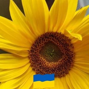 Meet your Posher, Tish